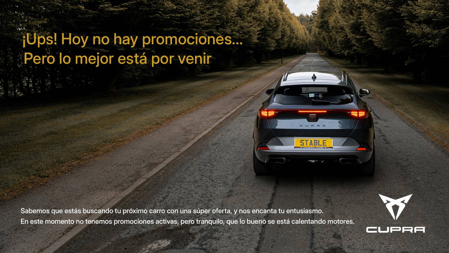 cupra promociones taller